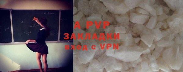 стафф Нефтекумск