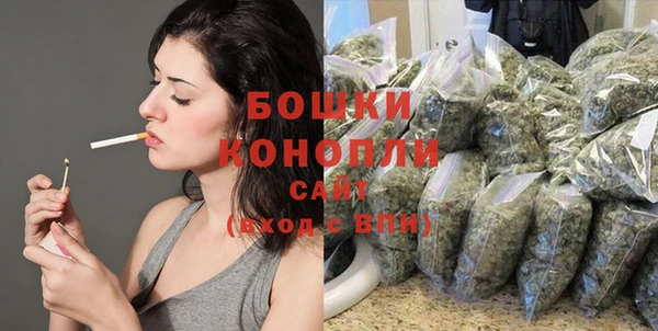 стафф Нефтекумск