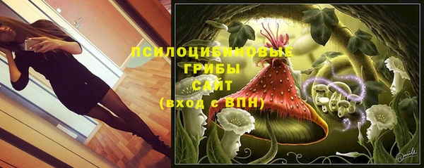 стафф Нефтекумск