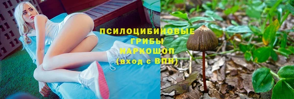 стафф Нефтекумск