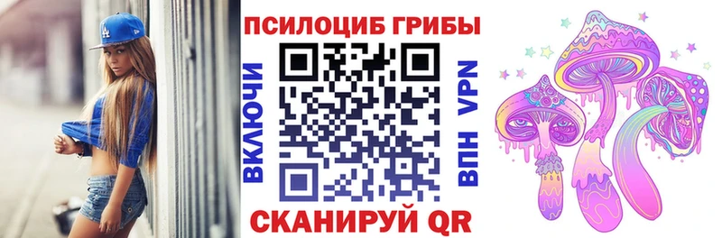 Купить где Наволоки Псилоцибиновые грибы MAGIC MUSHROOMS