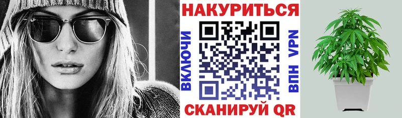 Купить где  Наволоки  Каннабис семена 